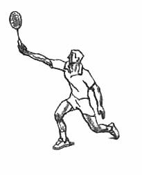 羽毛球运动教学与训练教程,羽毛球课动作展示