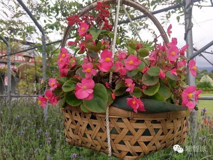 htc10全面评测,htc10手机怎么样有几个版本