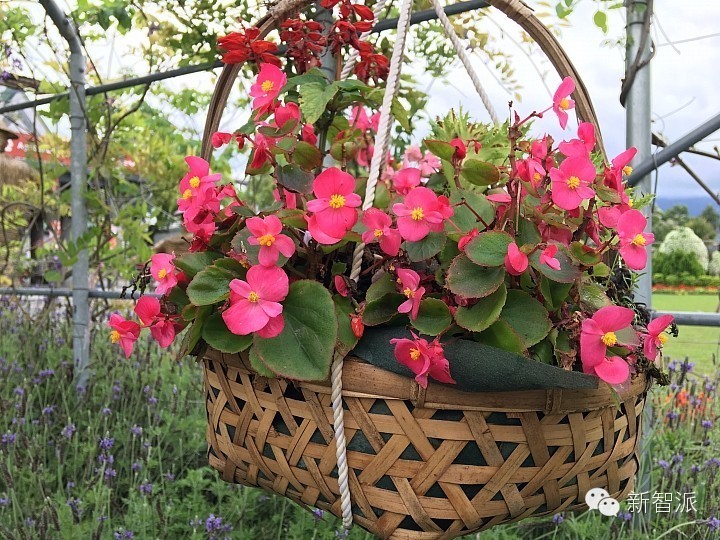 htc10全面评测,htc10手机怎么样有几个版本