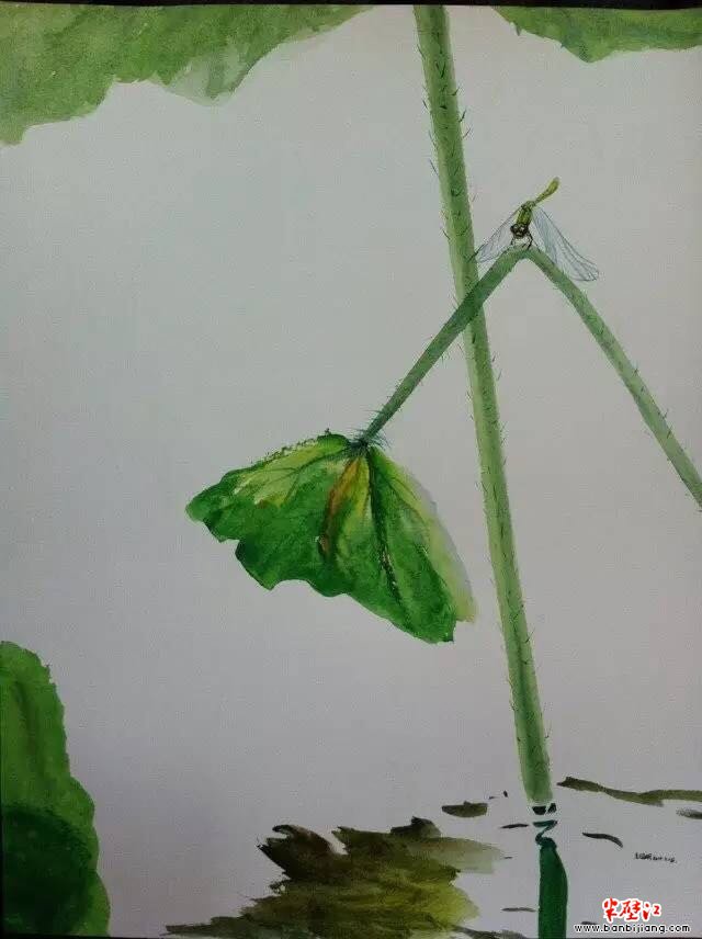 空寂灵动水意画，时尚生活大氧吧--专访西安著名青年画家王徵明先生