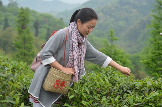 寰俊鏃呮父杈句汉,寰俊杈句汉