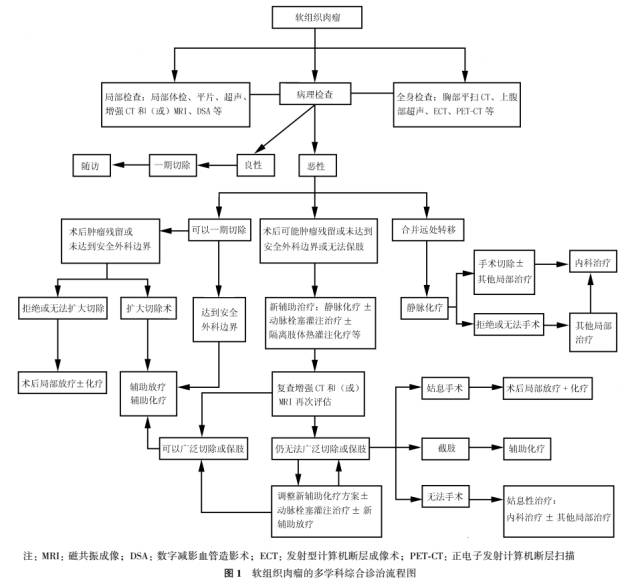 骨肉瘤诊疗指南2022,中国软组织肉瘤诊治策略