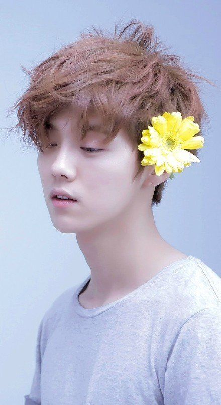 鹿晗原来有多红,鹿晗的人气是多少