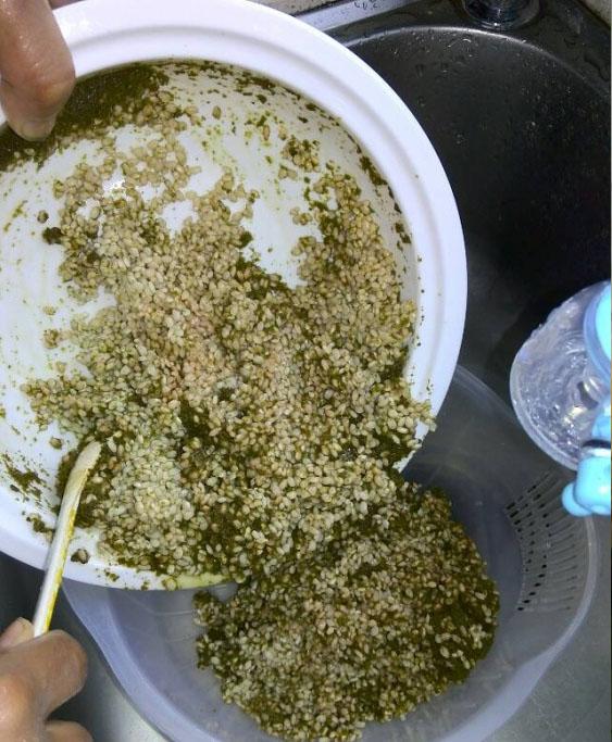 吃过这种饭么？营养价值很高！我从山上摘来树叶...