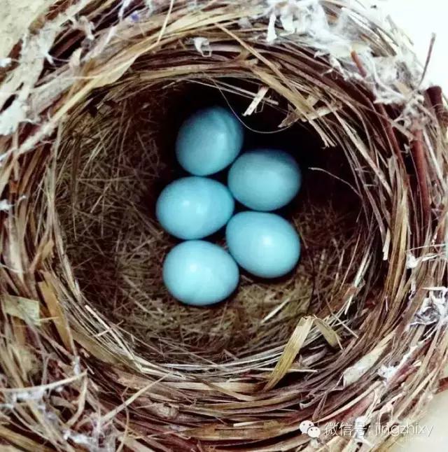 为什么那么多人喜欢蒂法,为什么全世界的女人都爱我