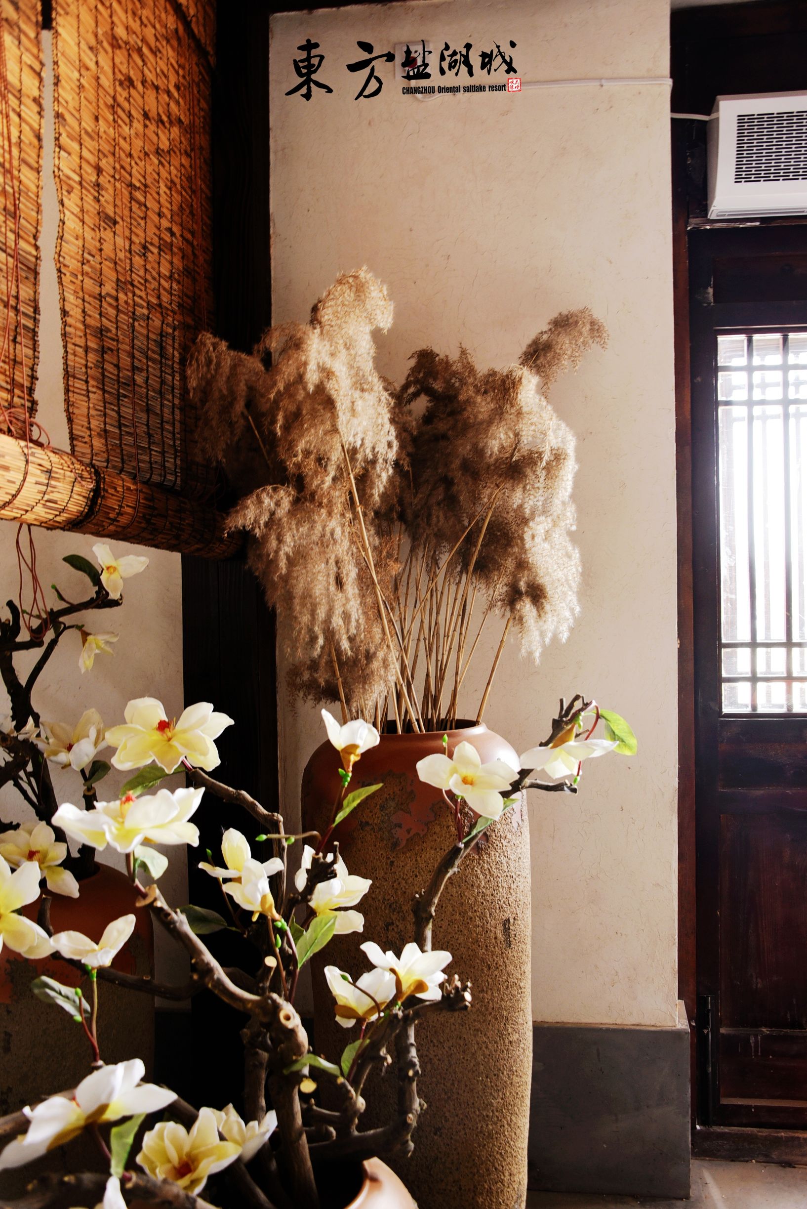 梦入桃花源现代版,梦入桃花源完整版