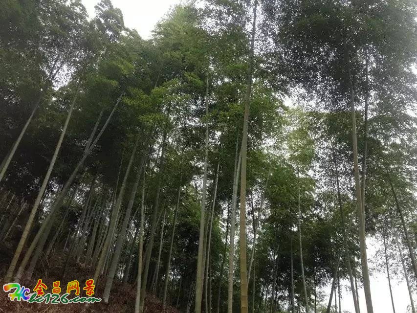 会昌富城瀑布路线,会昌美景画