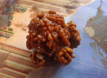 假金刚菩提子图片,真金刚菩提子鉴别真假