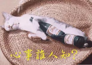 回国入境自动通道,入境回国需要提前申请吗