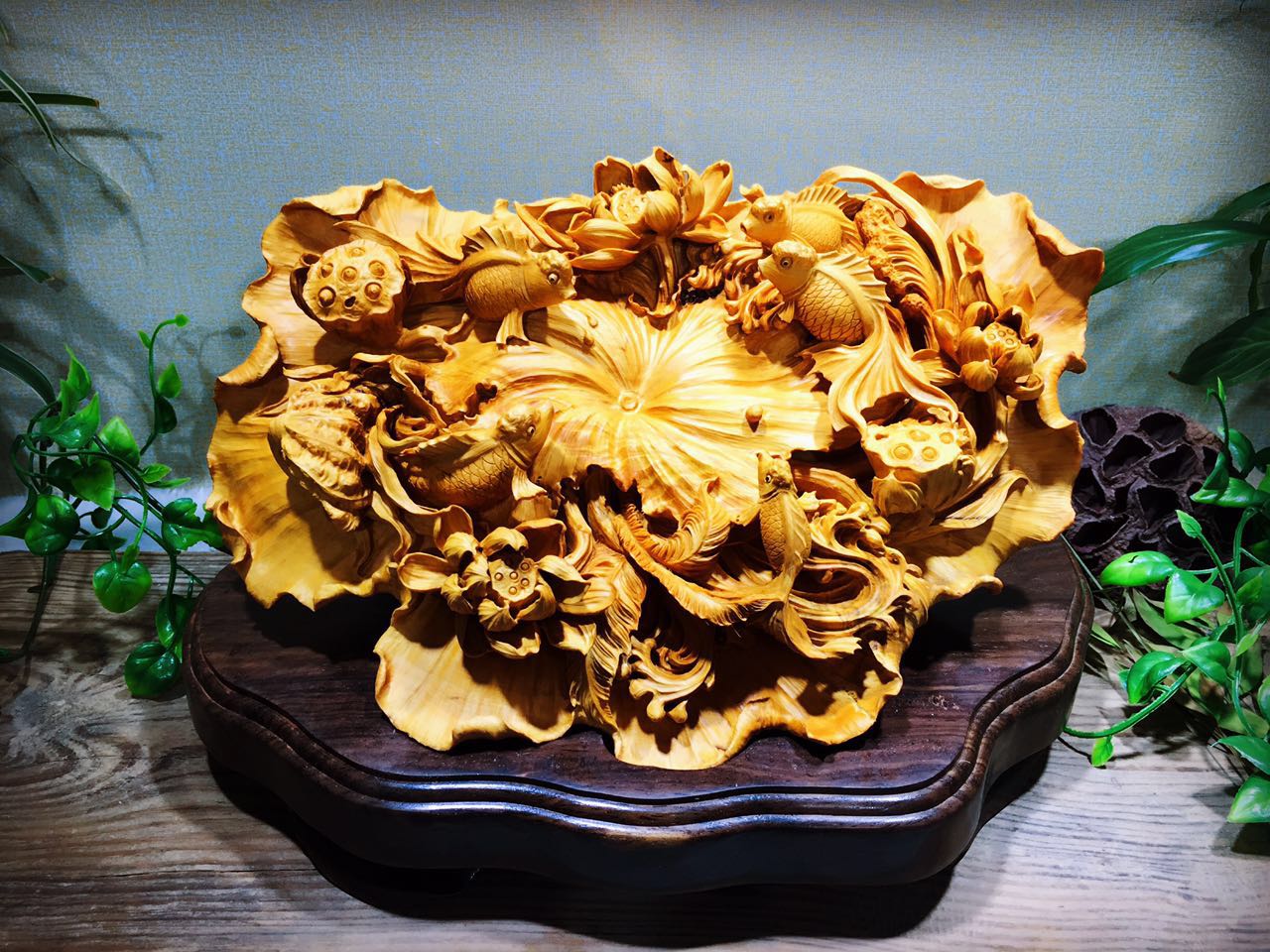 黄杨木集天地之精华木质细腻可做雕刻品