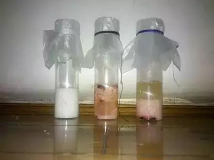 科普传说母乳是血液转化成的这是真的吗？