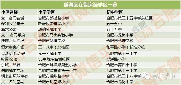 合肥2021学区房规划,合肥24年最新楼盘
