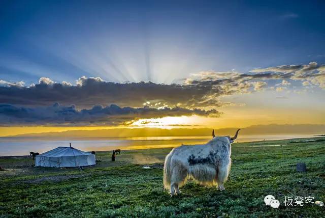 金姐吐槽一针见血,金姐一针见血完整视频