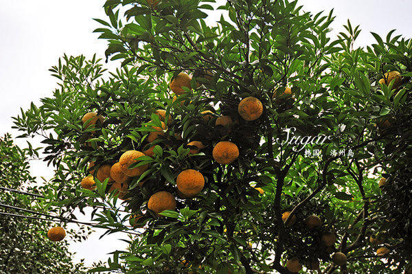 一生最值得去的岛,一辈子必须去一次的岛