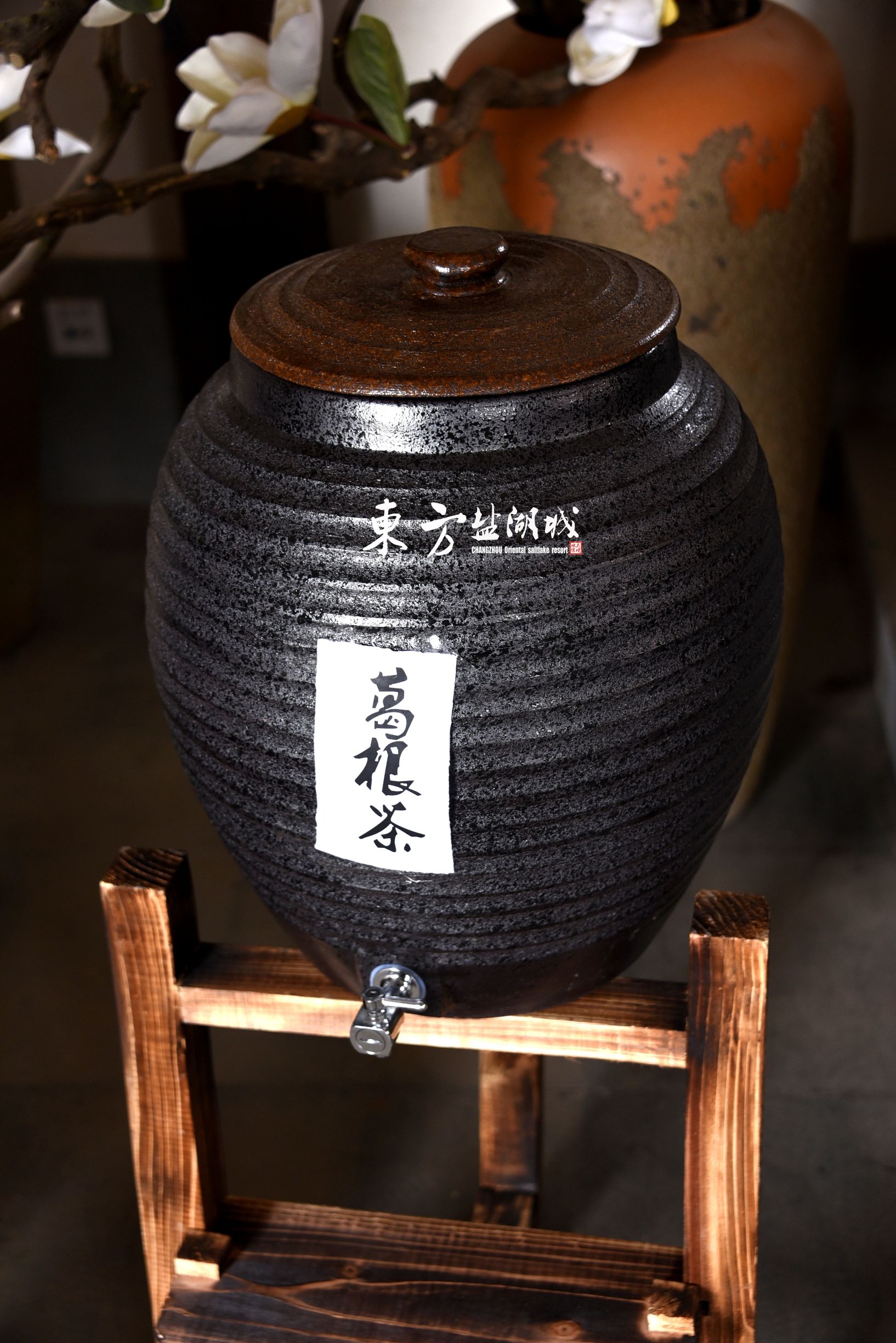 梦入桃花源现代版,梦入桃花源完整版