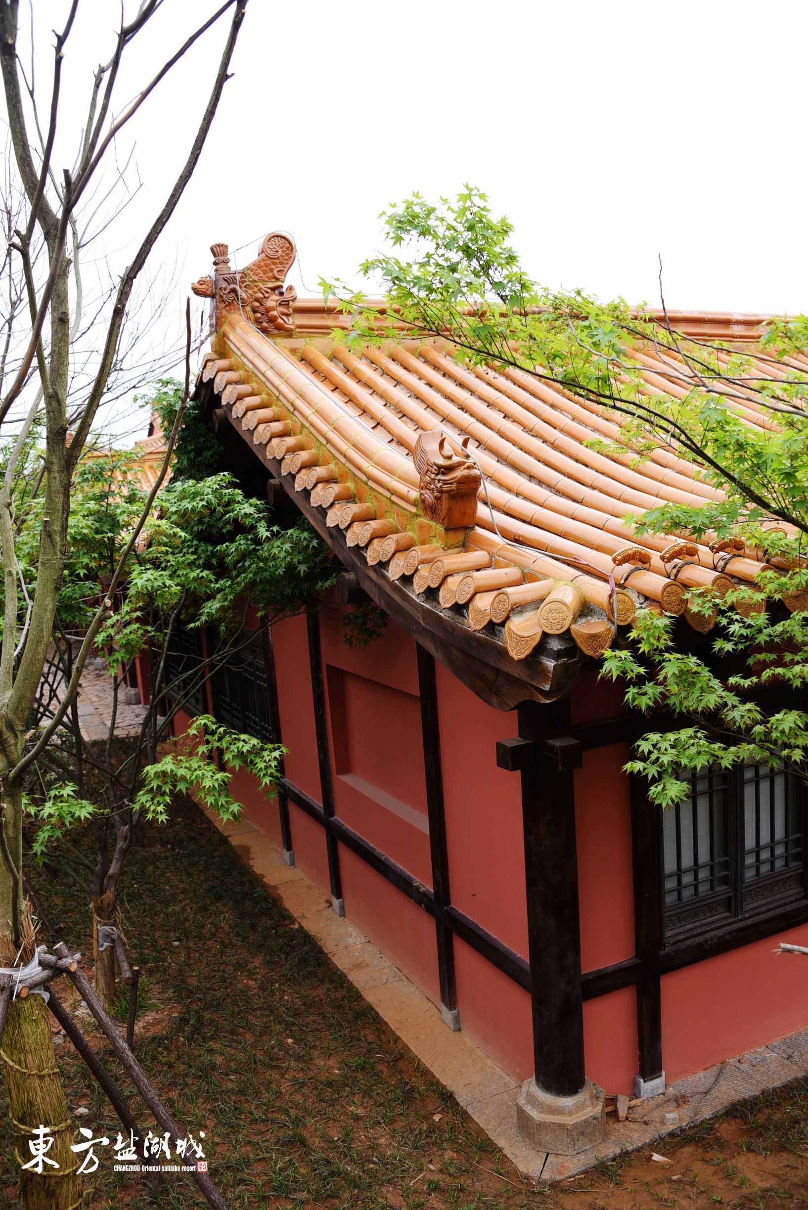 梦入桃花源现代版,梦入桃花源完整版