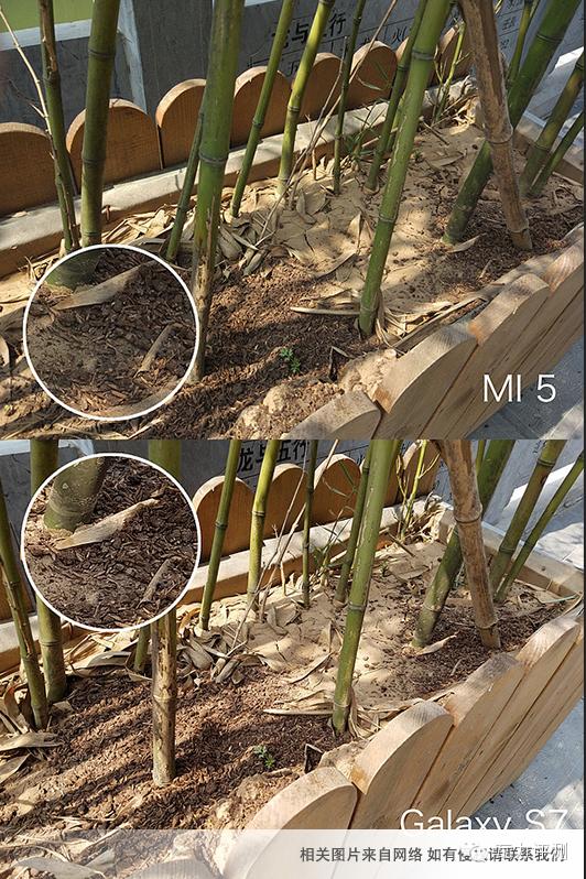 2022小米5手机测评,大众点评5级用户厉害吗