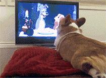 怎么不让别人蹭到我家wifi,不让别人蹭我家wifi后怎么拉回来