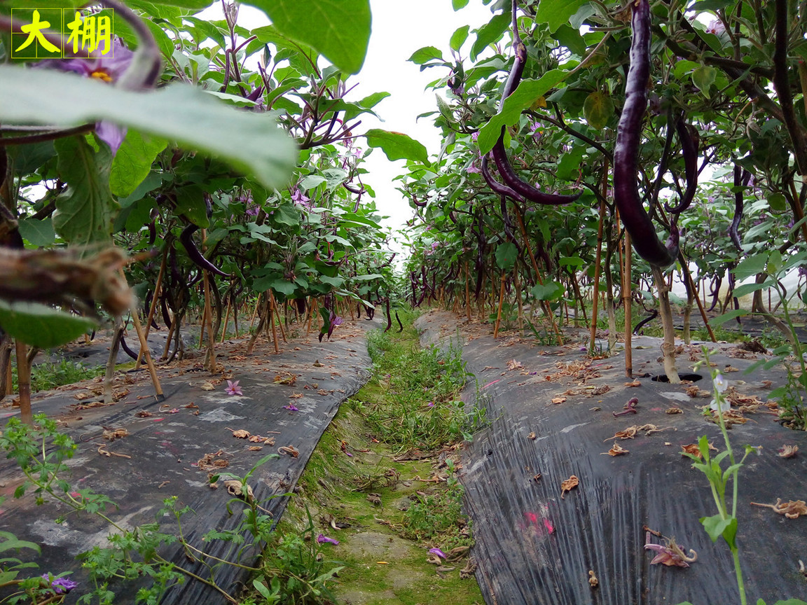 4在必得：360手机F4全体验