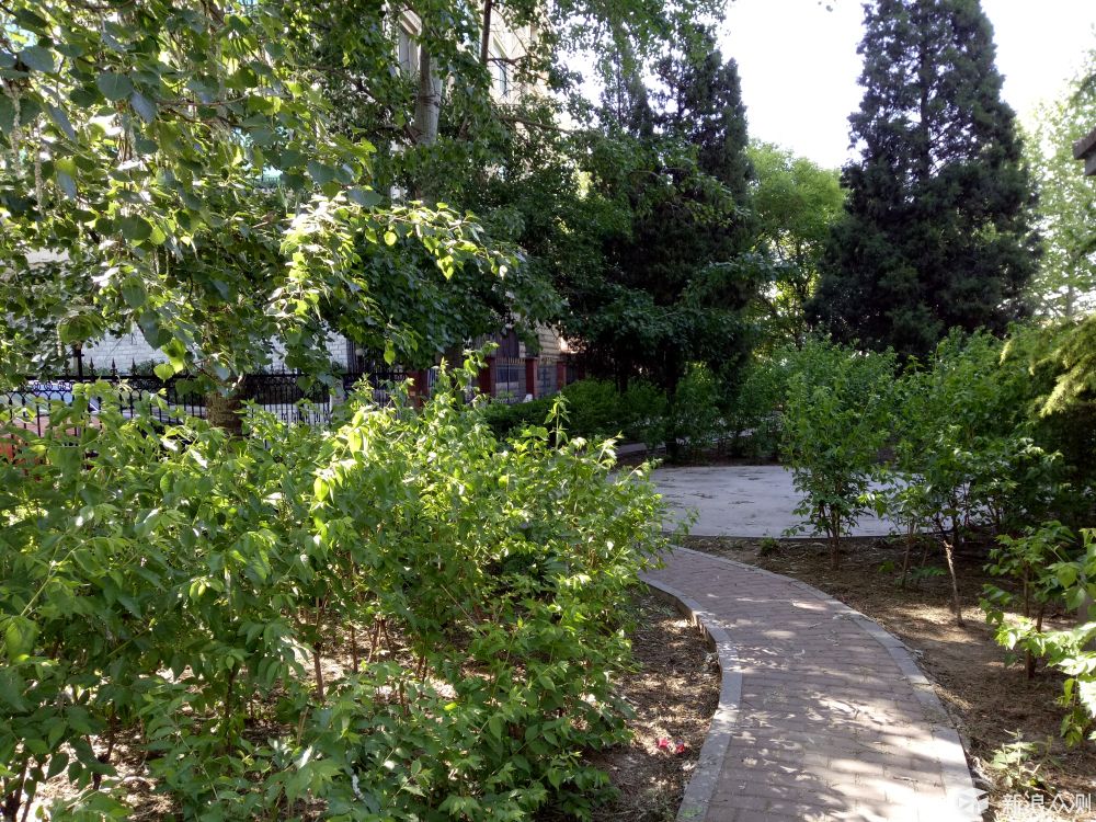 oppor9缺点是什么,oppo颜值