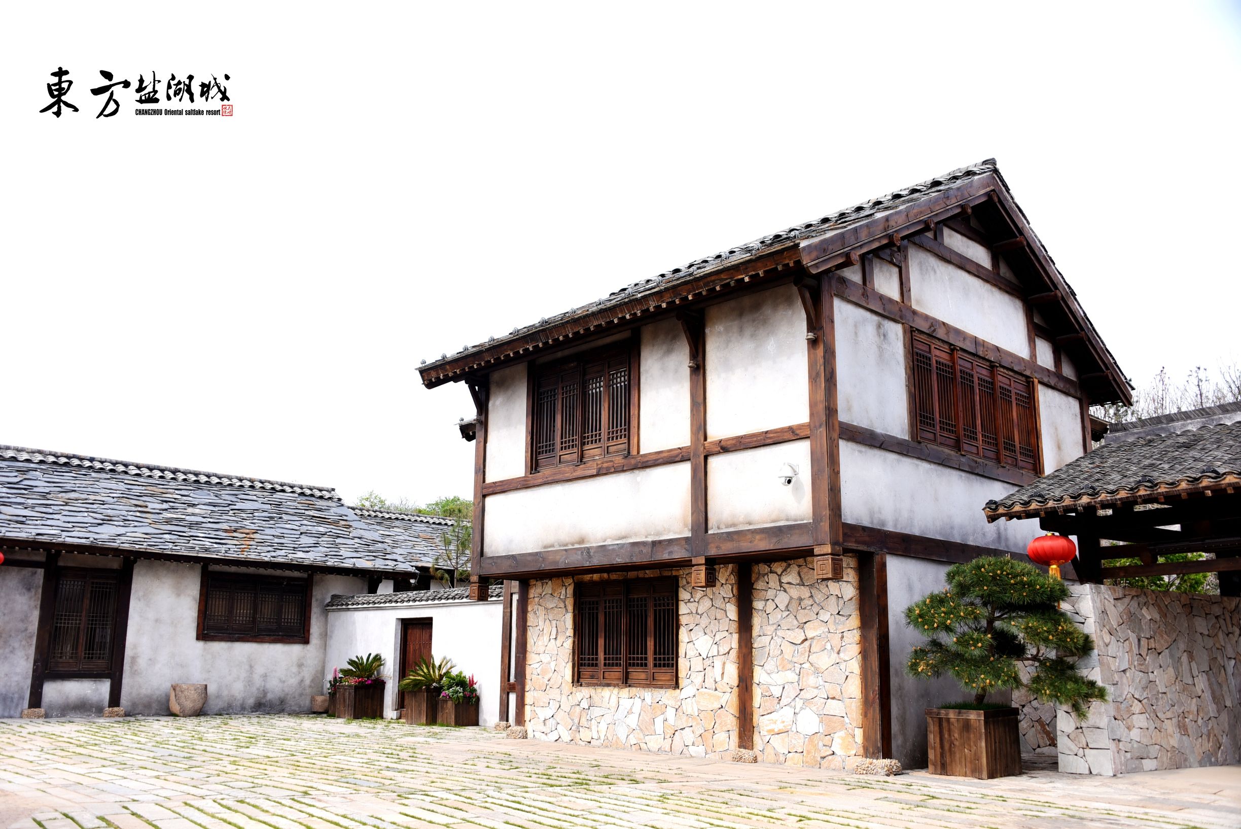 梦入桃花源现代版,梦入桃花源完整版