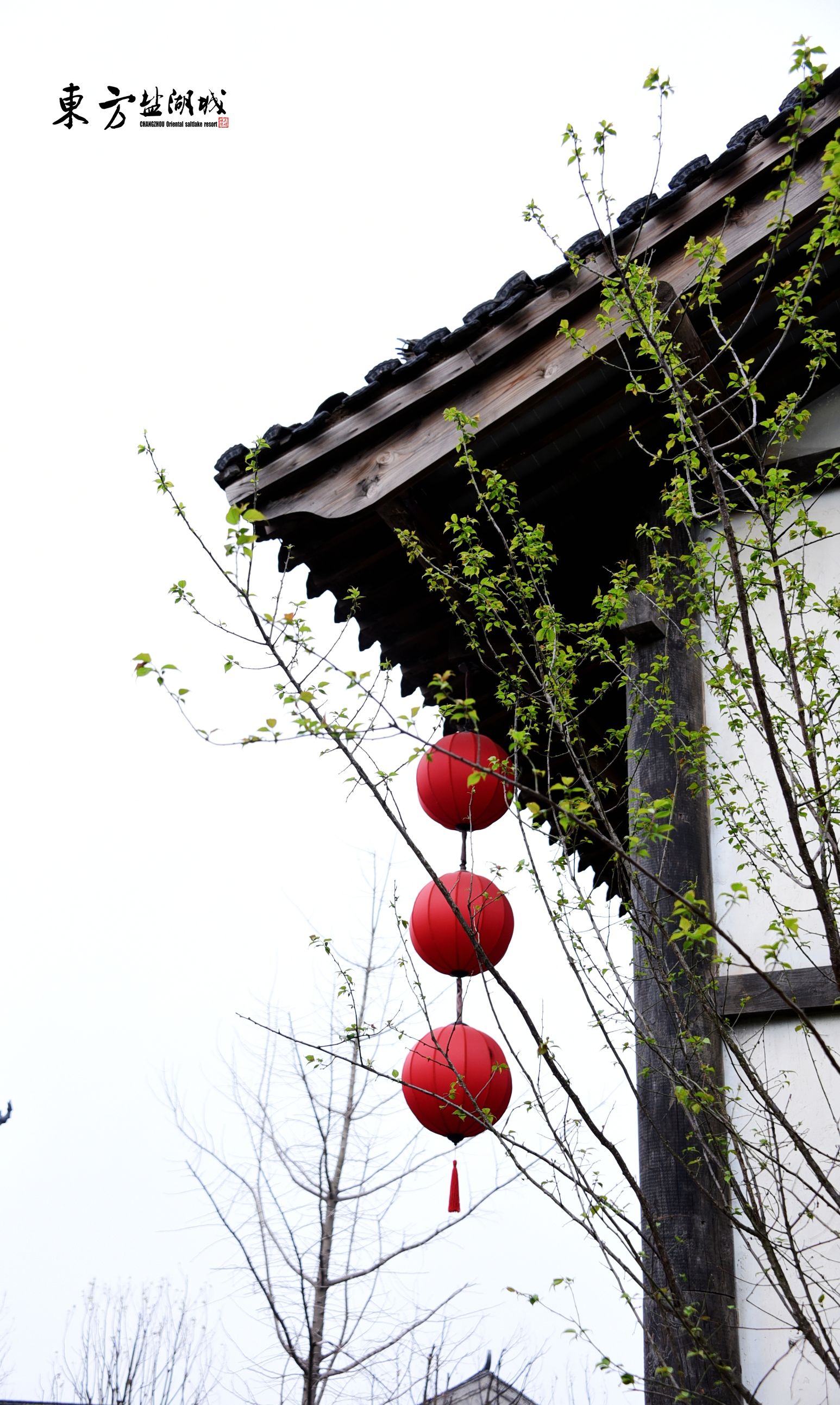 梦入桃花源现代版,梦入桃花源完整版