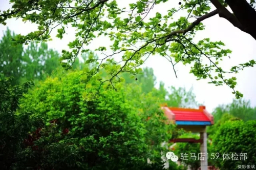 驻马店159是私人医院吗,驻马店159医院为啥改名