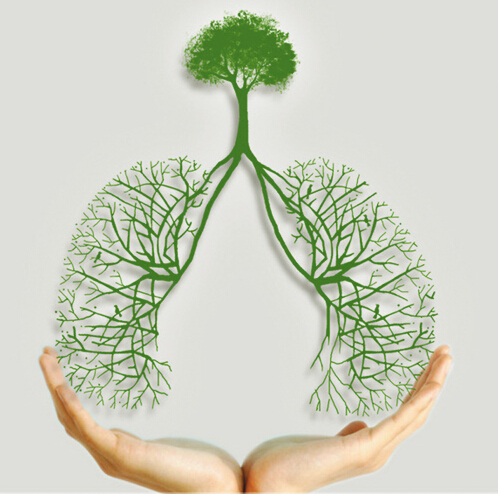 得了肺结核会一直咳嗽吗,肺结核有点咳嗽怎么治疗最有效