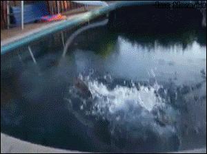 怎么不让别人蹭到我家wifi,不让别人蹭我家wifi后怎么拉回来