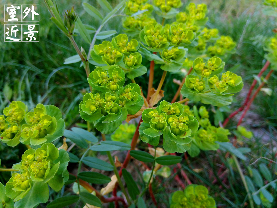 4在必得：360手机F4全体验