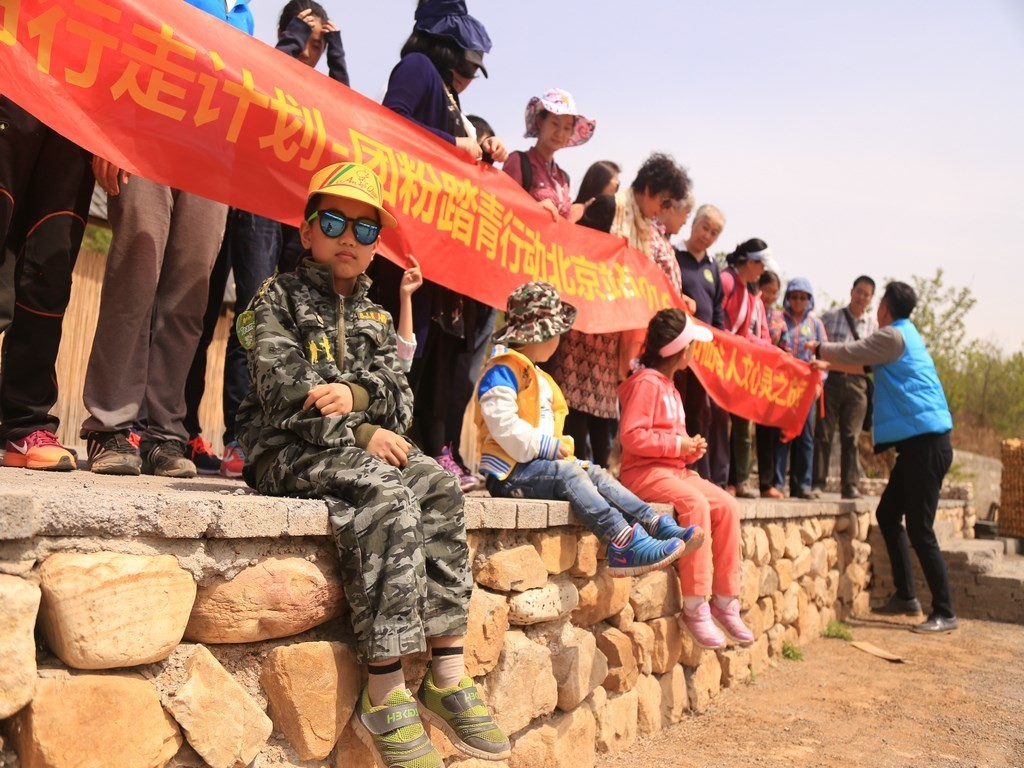 团贷网络,团贷网平台信息