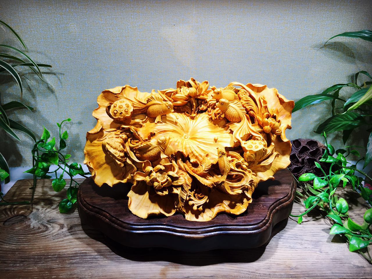 黄杨木集天地之精华木质细腻可做雕刻品