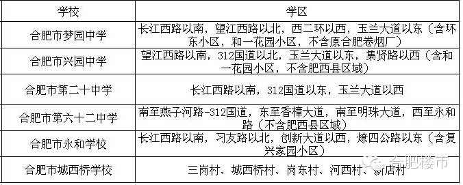 合肥2021学区房规划,合肥24年最新楼盘