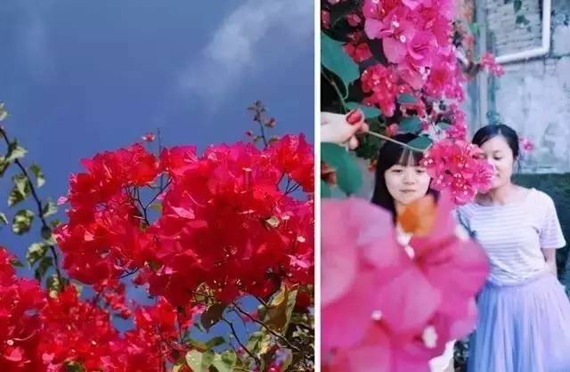 五一出行100分推荐，人少景美文艺到爆