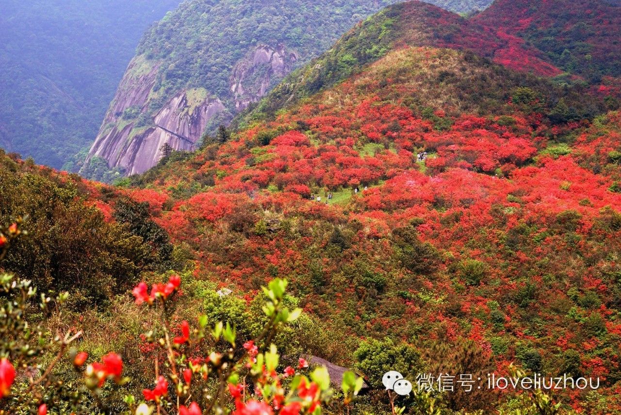 从茂名至广西一日游攻略,广西一日游攻略