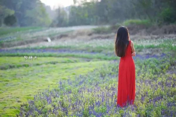 南昌哪些景区免门票了最新,五一南昌旅游免费