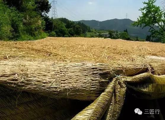 抹茶和日式抹茶区别,最正宗的日本抹茶