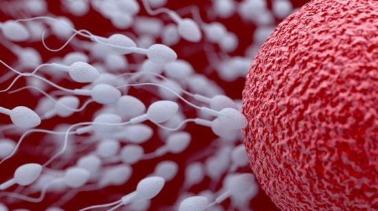 孕期14周需要做哪些检查项目,孕前检查14项