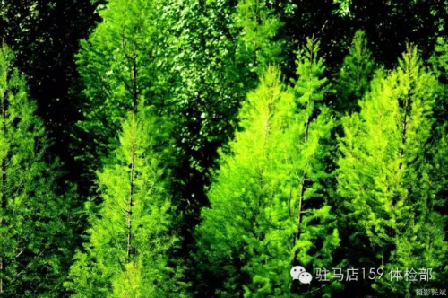 驻马店159是私人医院吗,驻马店159医院为啥改名