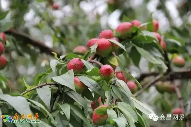 会昌富城瀑布路线,会昌美景画