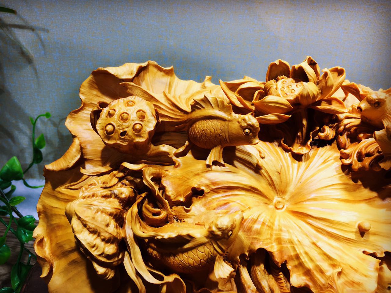 黄杨木集天地之精华木质细腻可做雕刻品