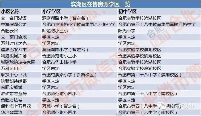 合肥2021学区房规划,合肥24年最新楼盘