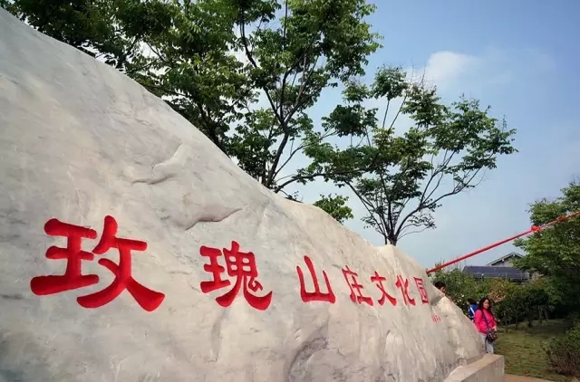 赏玫瑰摘西瓜这个假期有福喽