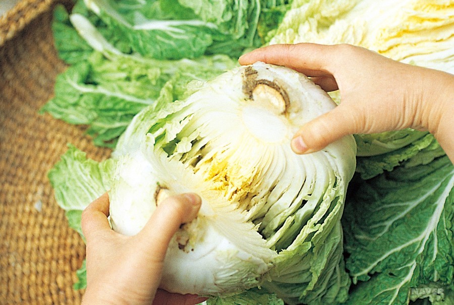 正宗韩式泡菜炒五花肉,用韩式泡菜酱做萝卜正宗做法