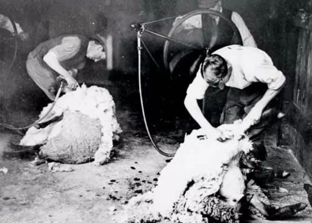 刘雯高定大秀,刘雯高定长裙走秀