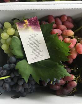 四川到福建怎么玩,四川到台湾怎么去