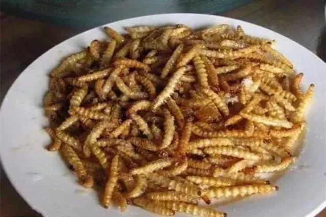 无锡最有名的三道菜是什么,无锡十大名菜菜谱