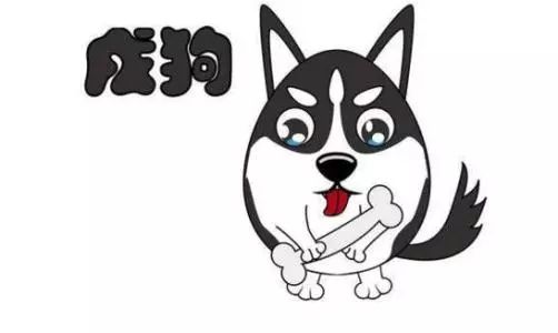 属狗58年今日运势,今日属狗之人财运是否好