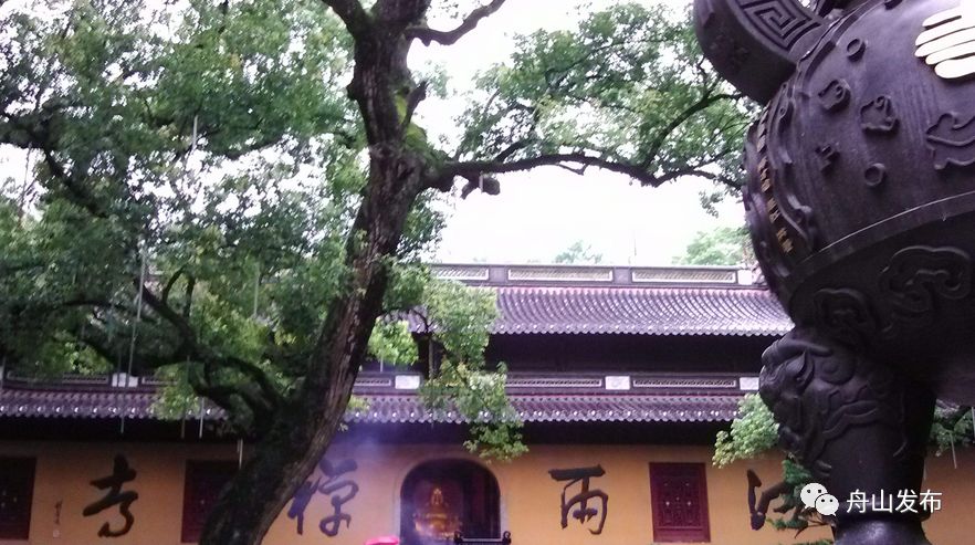 生活在外的舟山人，你们过得好吗？