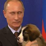 普京日历,普京和狗狗温馨图片